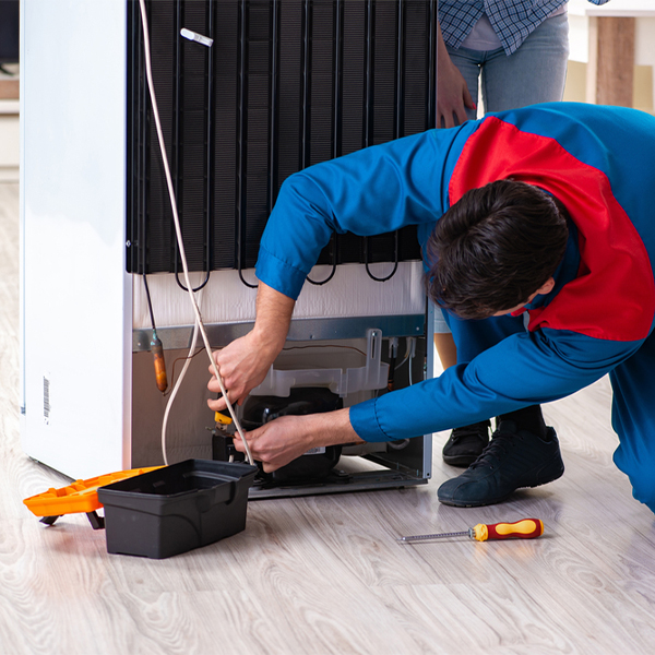 what are the common refrigerator repair services in Vona